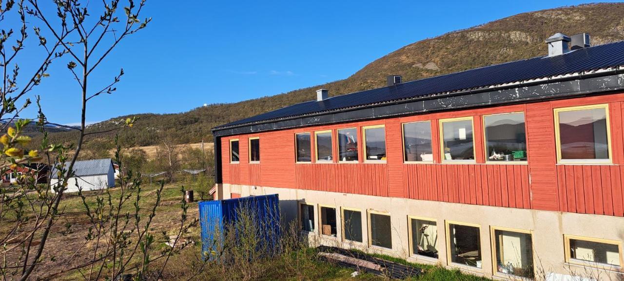 Austertanakrystallen By Pure Lifestyle Arctic Bagian luar foto