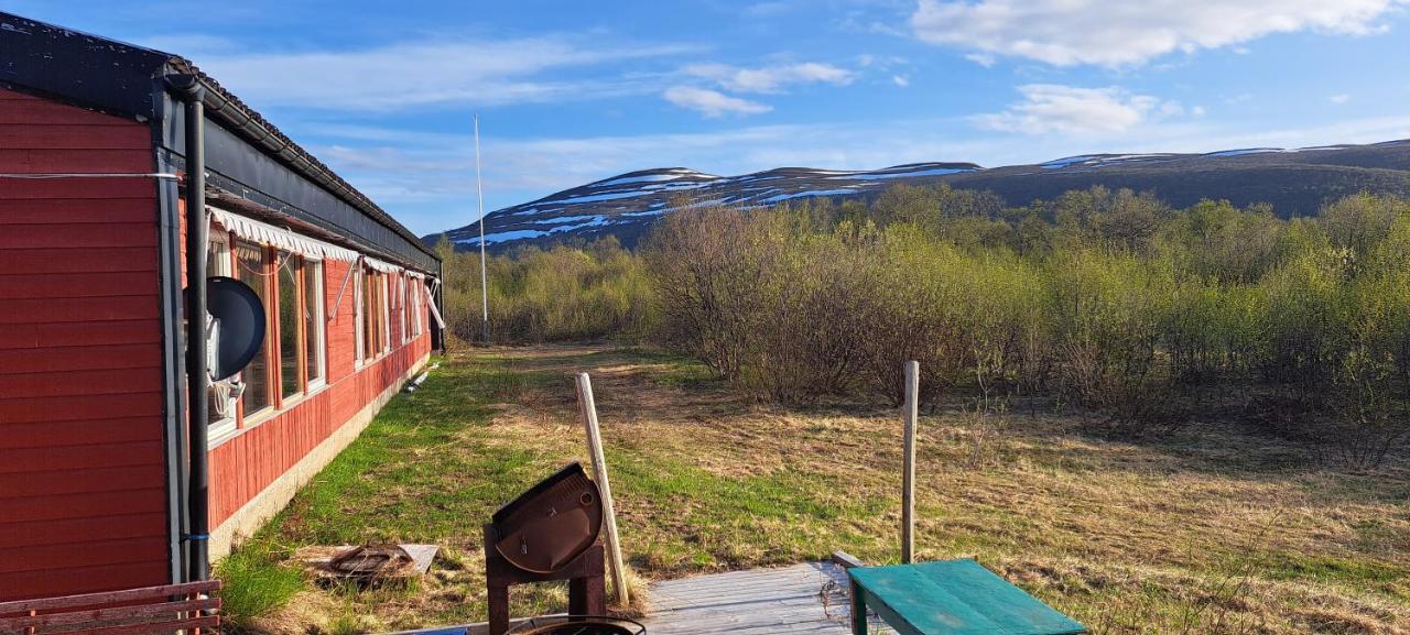 Austertanakrystallen By Pure Lifestyle Arctic Bagian luar foto