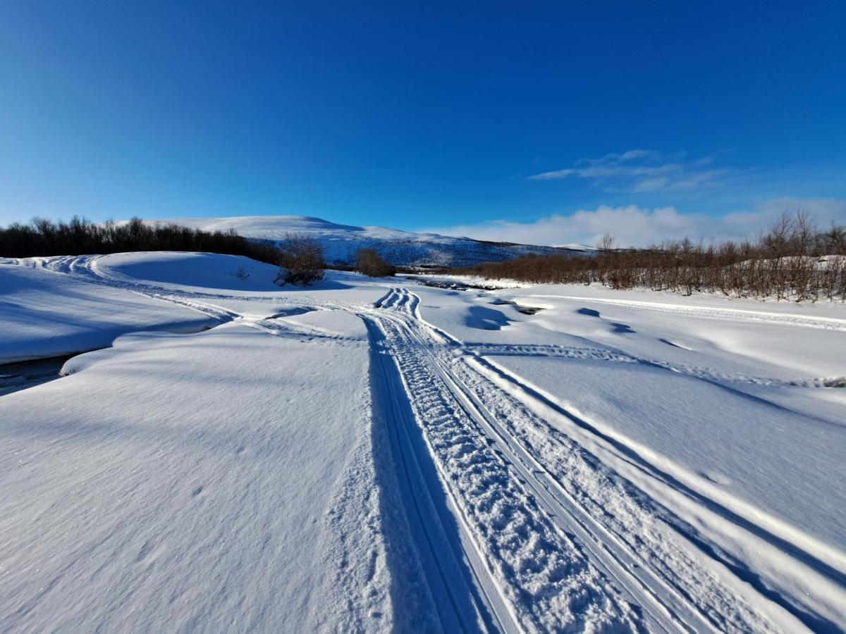 Austertanakrystallen By Pure Lifestyle Arctic Bagian luar foto