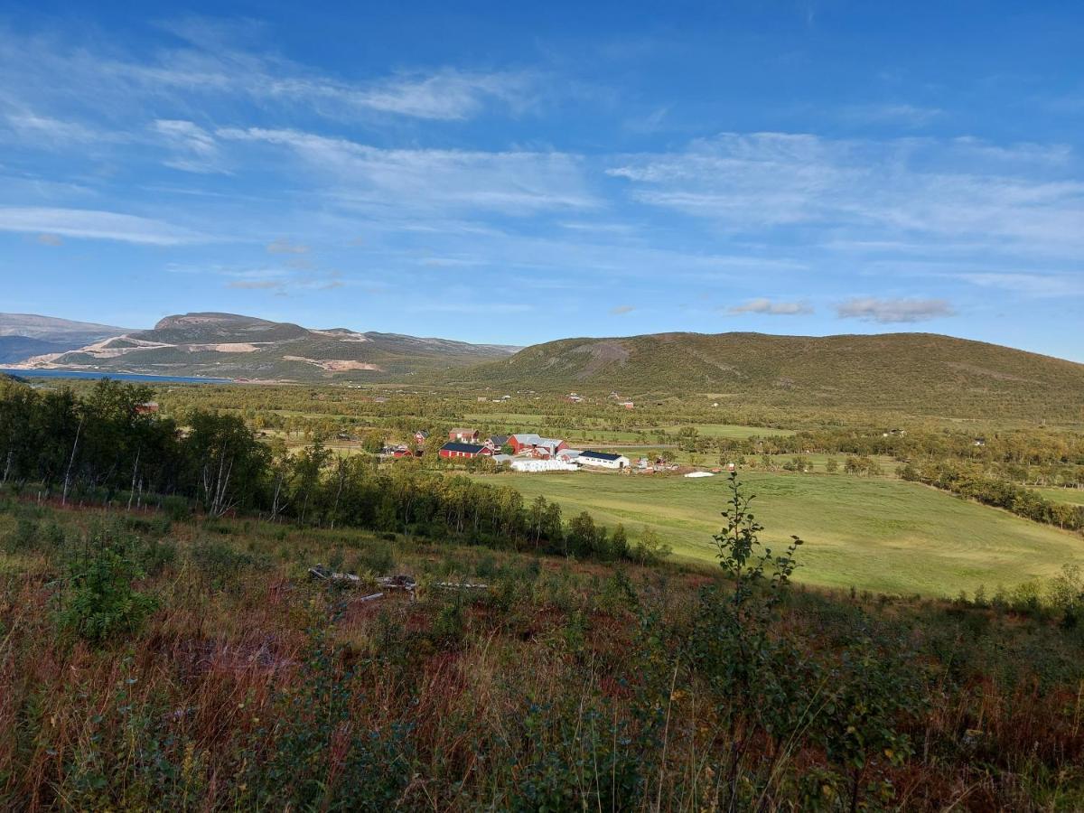 Austertanakrystallen By Pure Lifestyle Arctic Bagian luar foto