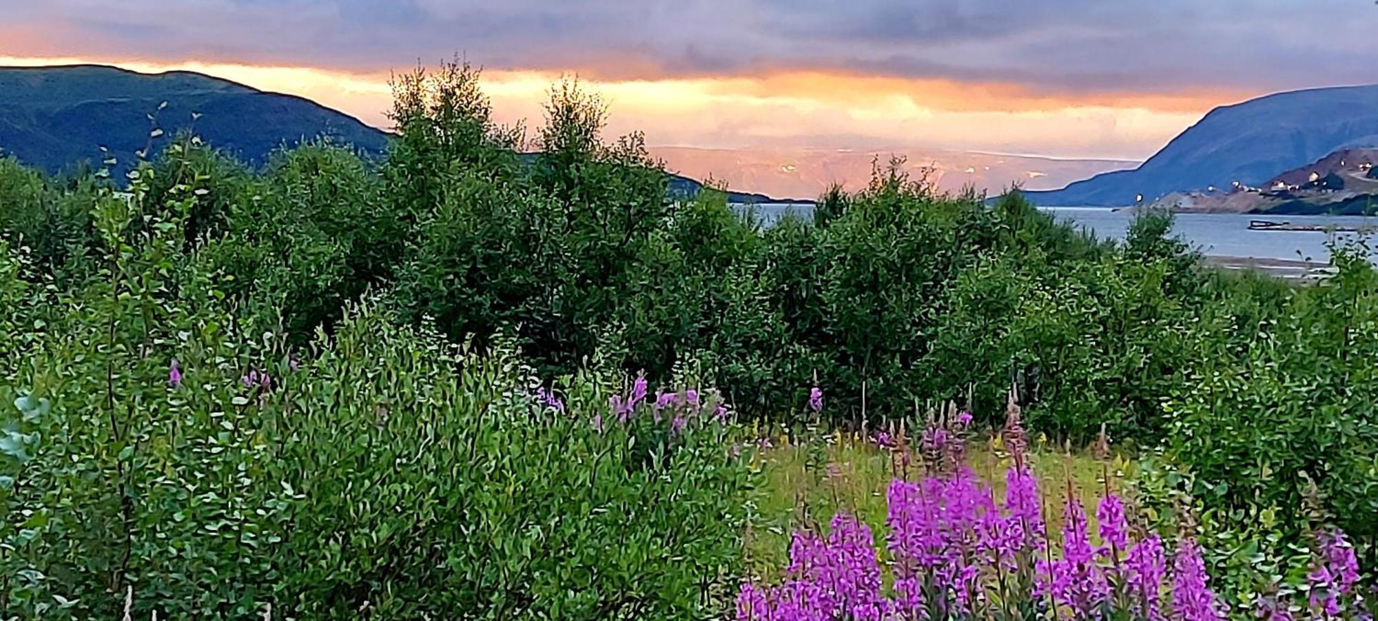 Austertanakrystallen By Pure Lifestyle Arctic Ruang foto